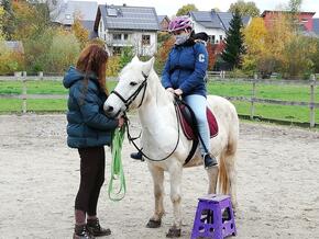 Reiten und Voltigieren