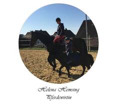 Auf ihrem Hof in Jakobsberg bietet die ausgebildete Pferdewirtin Helena Hemsing Reitunterricht an.